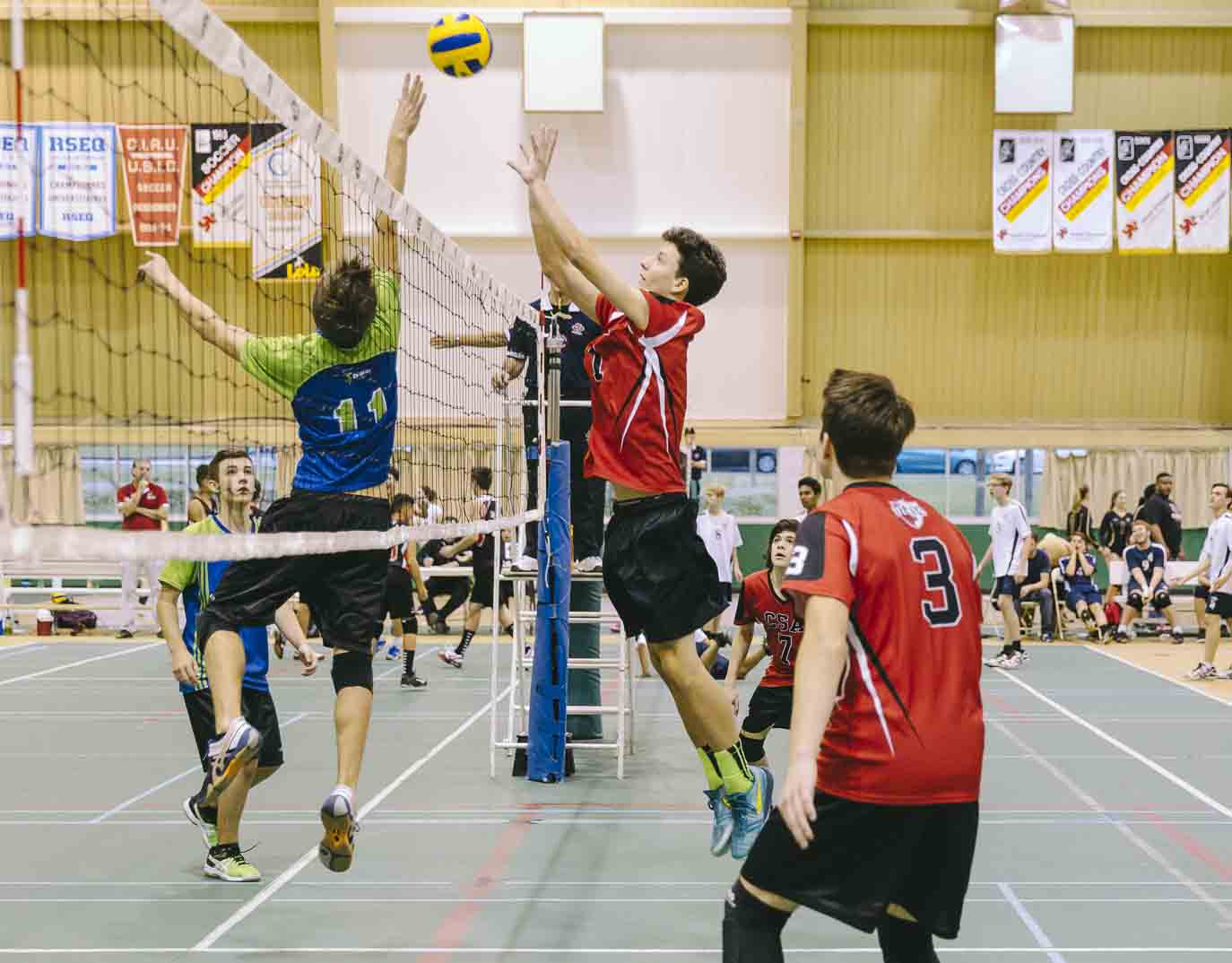 Volleyball Québec Annonce Le Renouvellement De Son Partenariat Avec L’Université De Sherbrooke/Club Envolley